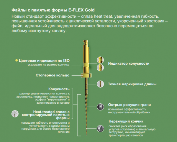 E-Flex Gold ������� 08/17 02/19 04/15-30 L25�� (6��), Eighteeth