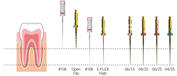 E-Flex Gold ������� 08/17 02/19 04/15-30 L25�� (6��), Eighteeth