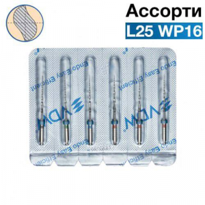 �2 L25 WP 16 ���. 2*(10/04,05/15,06/20) (0230025456)